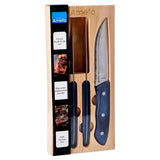 Couteaux de steak amefa Hercule 4 pièces