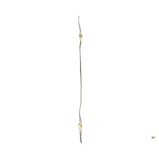 Lumineo zilverdraad warmwit; 295cm
