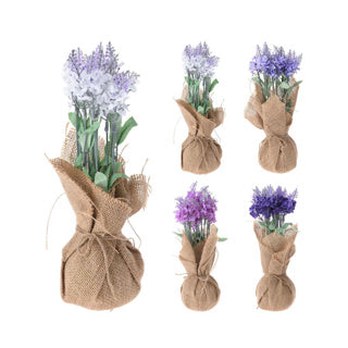 Lavender plant in jute bag