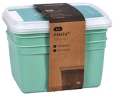 DBP Alaska frozen boxes Rectangular 1L 3 pieces mint green
