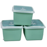 DBP Alaska frozen boxes Rectangular 1L 3 pieces mint green