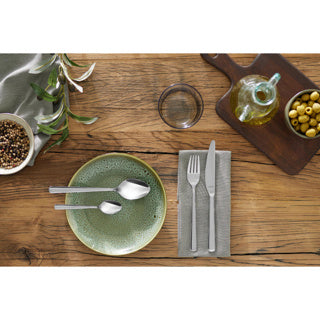 Amefa cutlery set 24dlg phoenix recycled