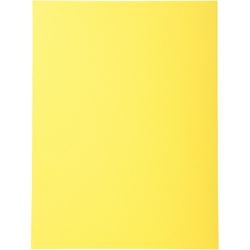 Exacompta 420205e A4 Recycled Cardboard File Folder