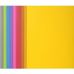 Exacompta document wallet 210500e A4 cardboard