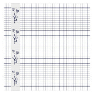 DDDDD Tea towel Lisse 60x65 Blue