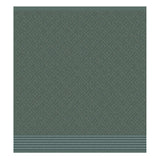 Ddddd kitchen towel akira 50 x 55 green