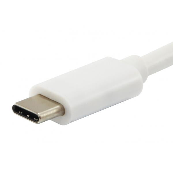 Utrusta 133462 USB -typ C till VGA Kvinnlig USB En kvinnlig PD -adapter, 1080p, 15 cm, vit