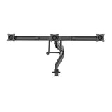 NEOMOUNTS NM -D775DX3BLACH MONTAL DRŽAVNI NASLOV, 17 -24, 6 kg, 100x100 mm, vijak vpenjanja,