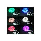 WOX R5093 Smart LED strip, 5m, 1000lm, full color RGB + Warm White 1000