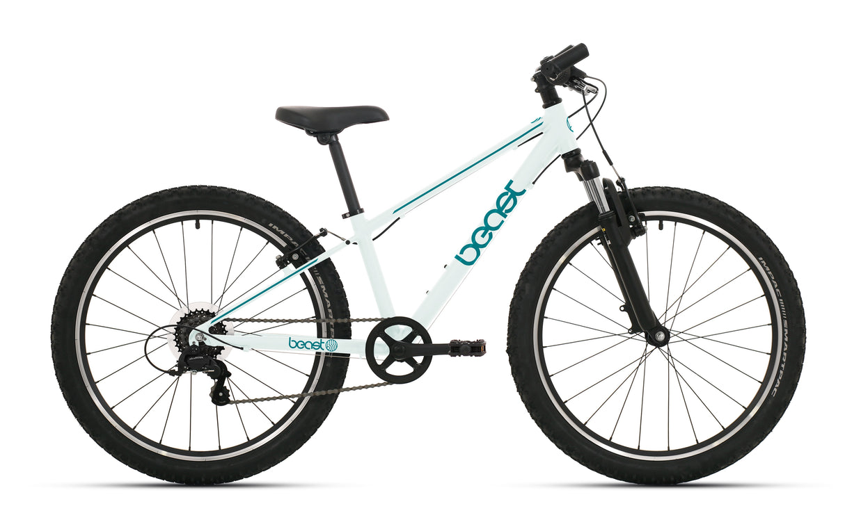 Bikefun children's bike beast 26 inch with Shimano 6 gears and V-brakes - seagrass