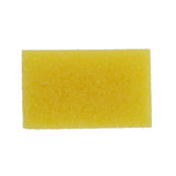 Car sponge Insect Remover