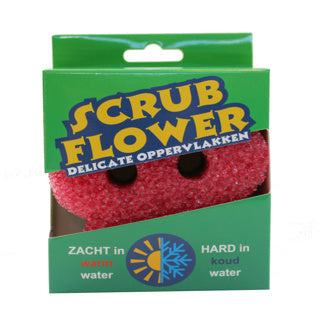 Sponge scrub flower delicate surfaces