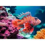 Ravensburger puzzle red lionfish 500pcs