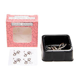 Duckiez metalen iq puzzel