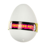 Duckiez growth egg dinosaur