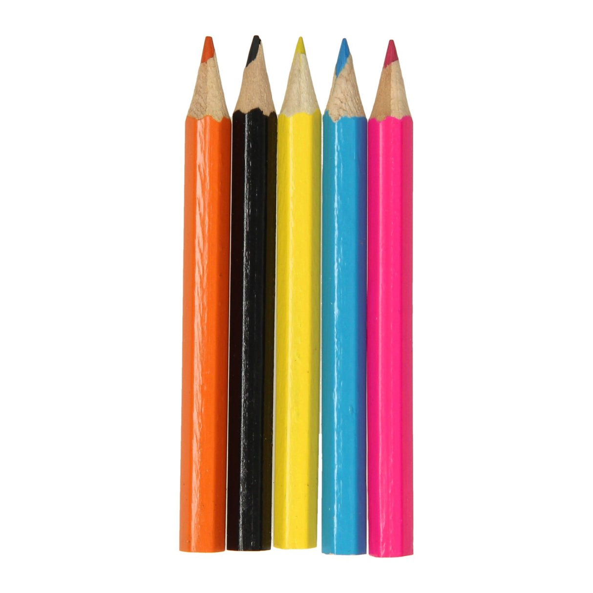 Duckiez colored pencils underwater world, 6th.