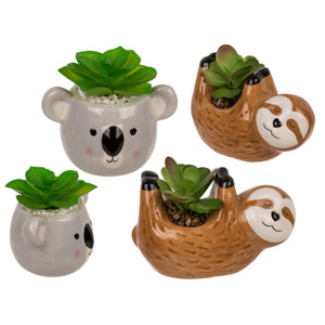 Ootb sultingas vazonėlyje, tinginys ar koala