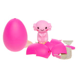 Duckiez augantis kiaušinis aksolotlas