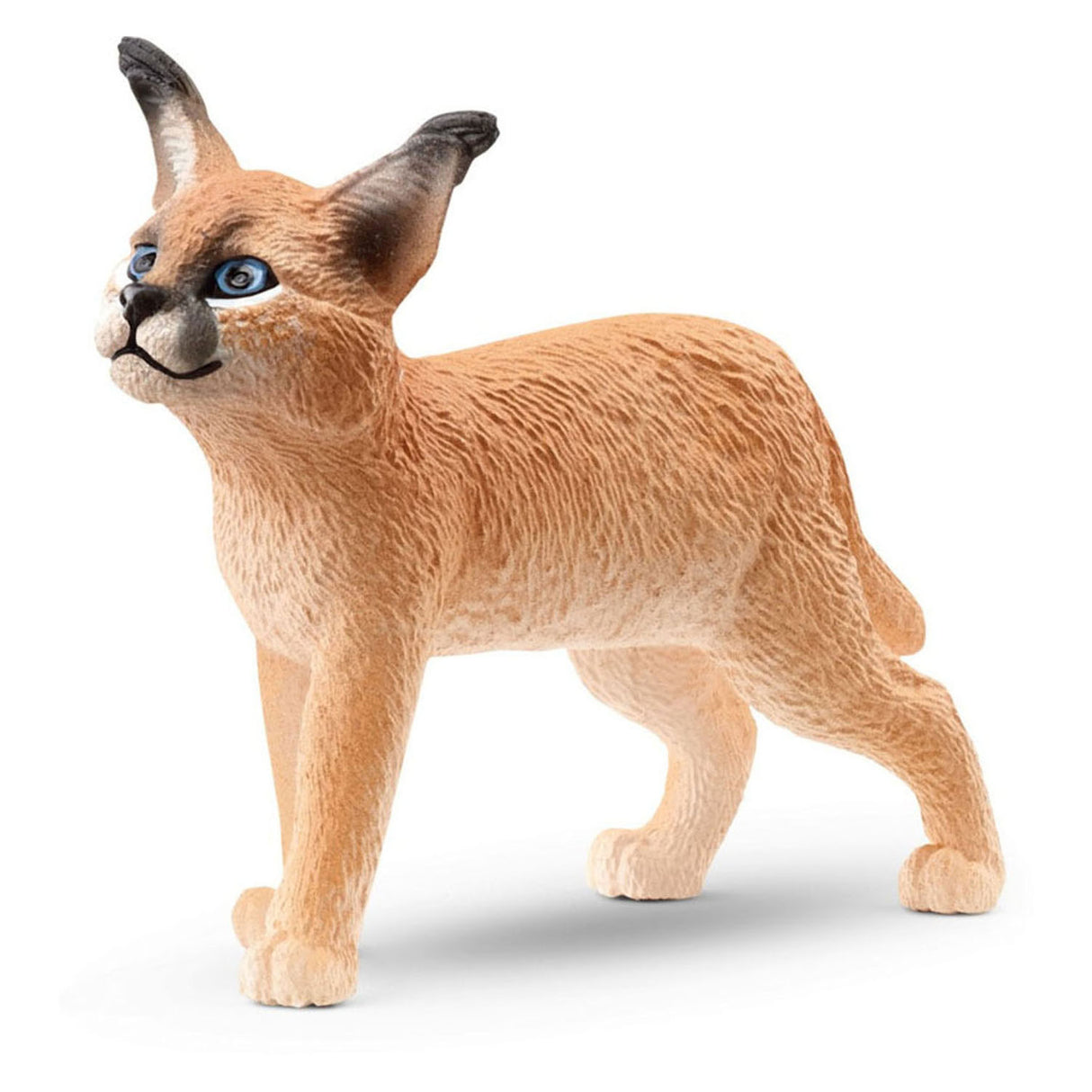 Slichich Wild Liewen Caracalwelpje 14868