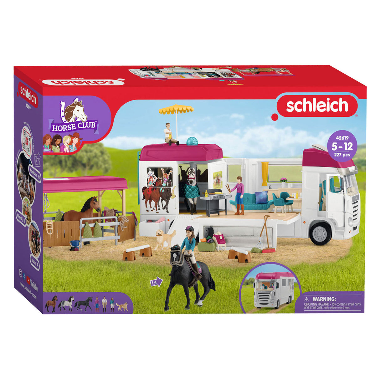 SCHLEICH HOURN CLUS CROUNT 42619
