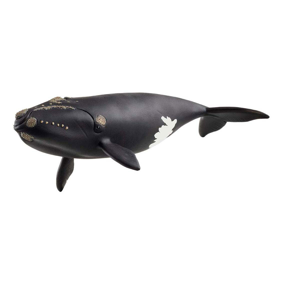 Schleich dyreliv Nordatlantisk rethval 14878