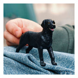 Schleich farm world zwarte labrador retriever 14923
