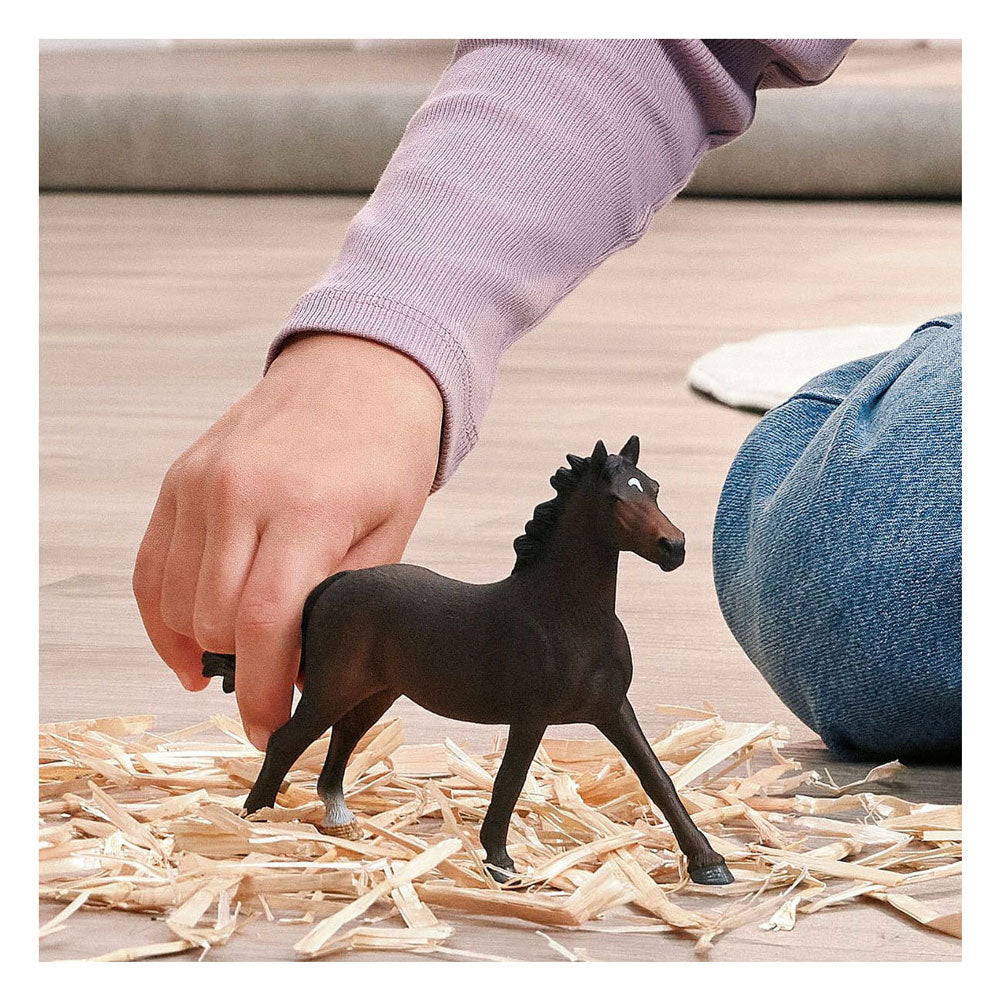 Schleich Horse Club English Thoroughbred Mare 14914