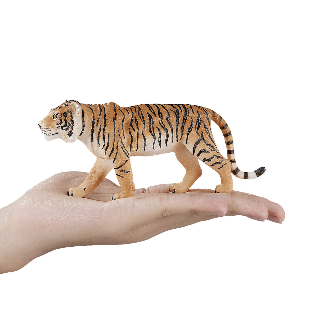 Bengalski tiger Mojo divjad 387003