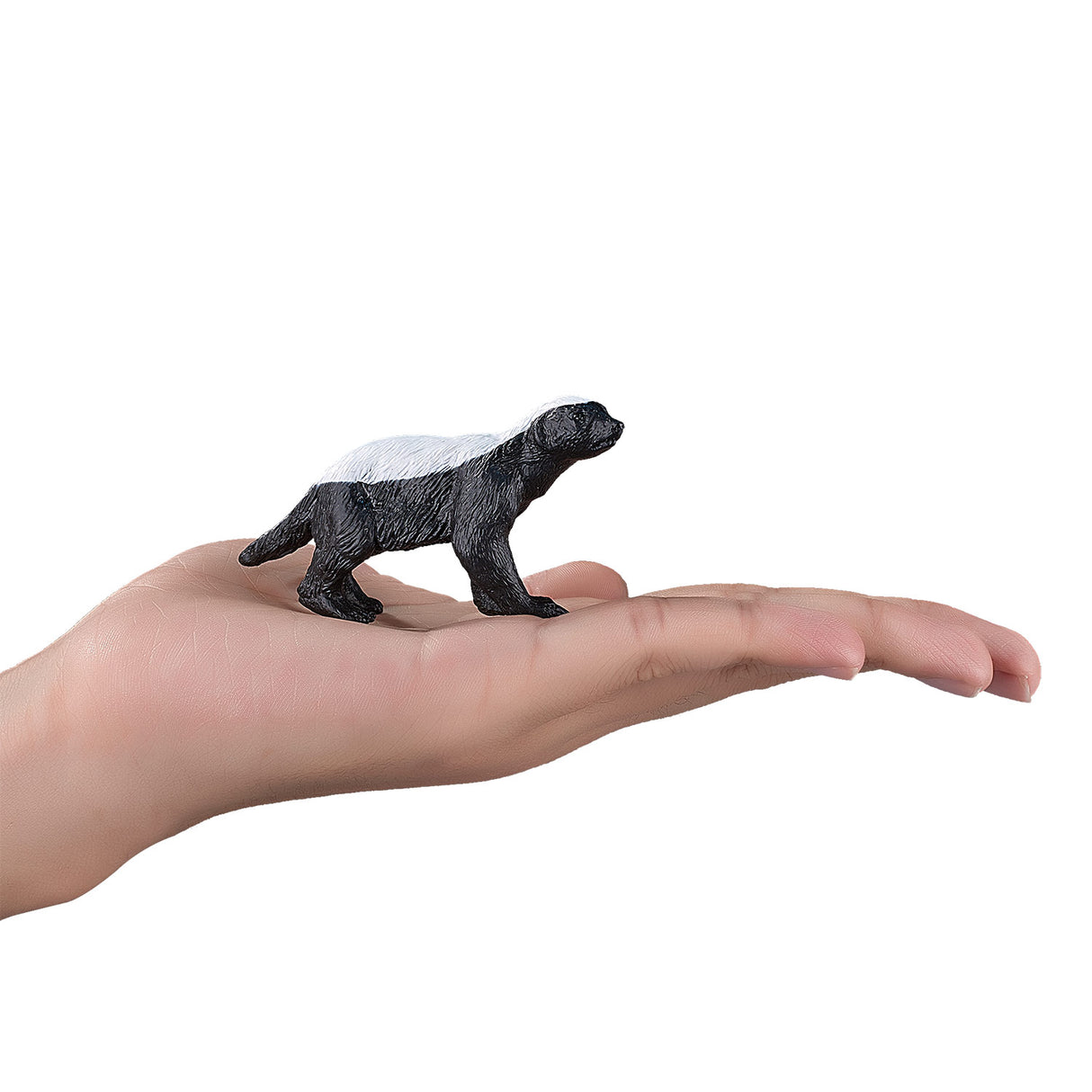 Mojo Wildlife Haning Das Man 387181