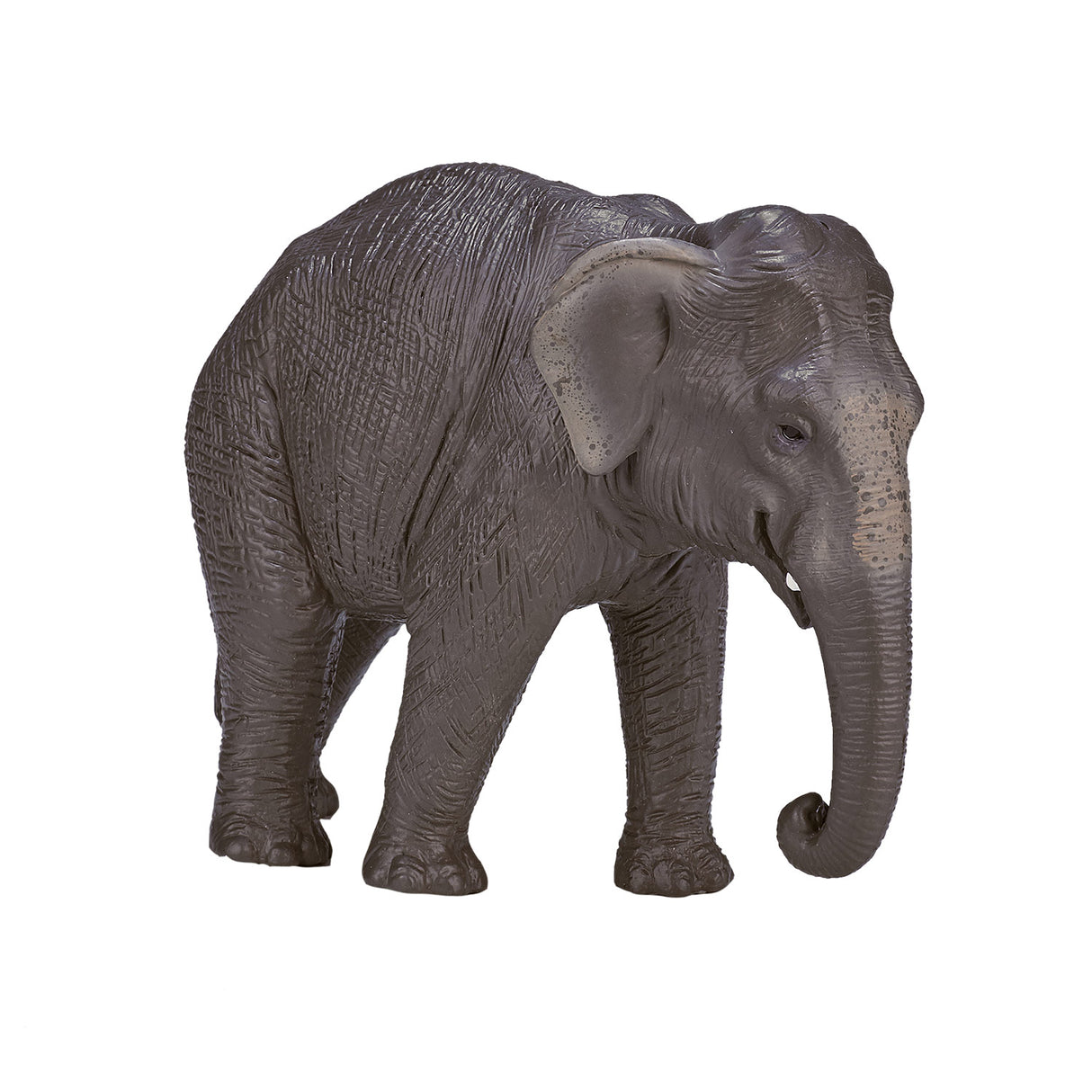 Mojo wildlife asiateschen Elefant 387266