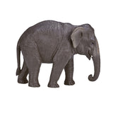 Mojo wildlife asiateschen Elefant 387266