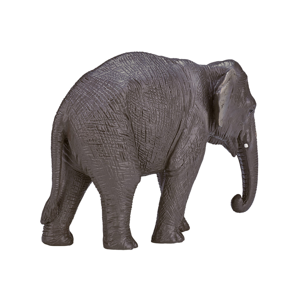 Mojo wildlife asiateschen Elefant 387266