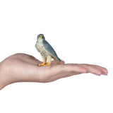 MOJO FALIAGE PEREGRINE FALON 381056