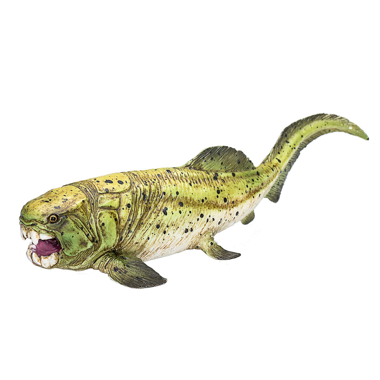 Mojo forhistorie Dunkleosteus 387374