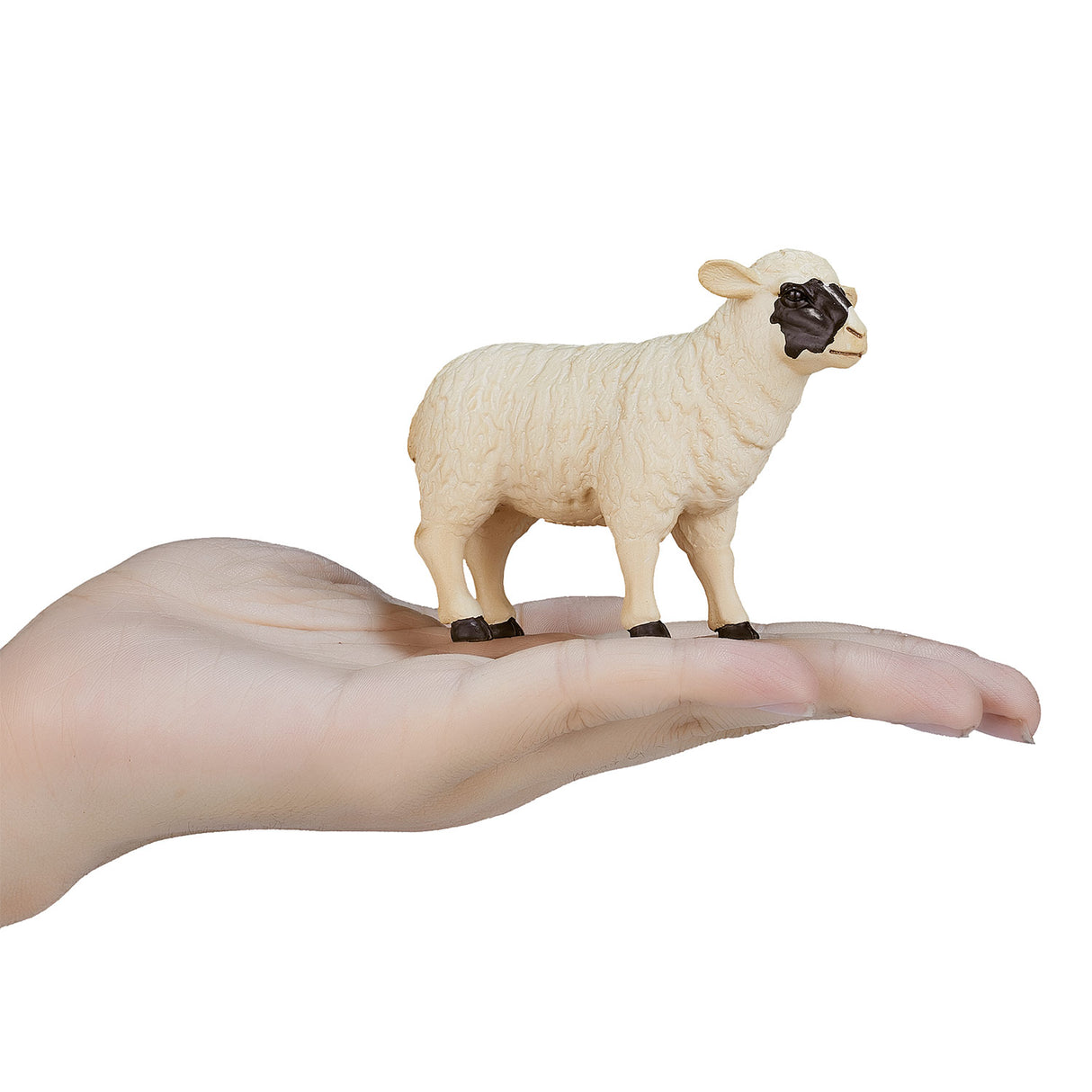 Mojo Ackerland Black Sheep ooi 387058