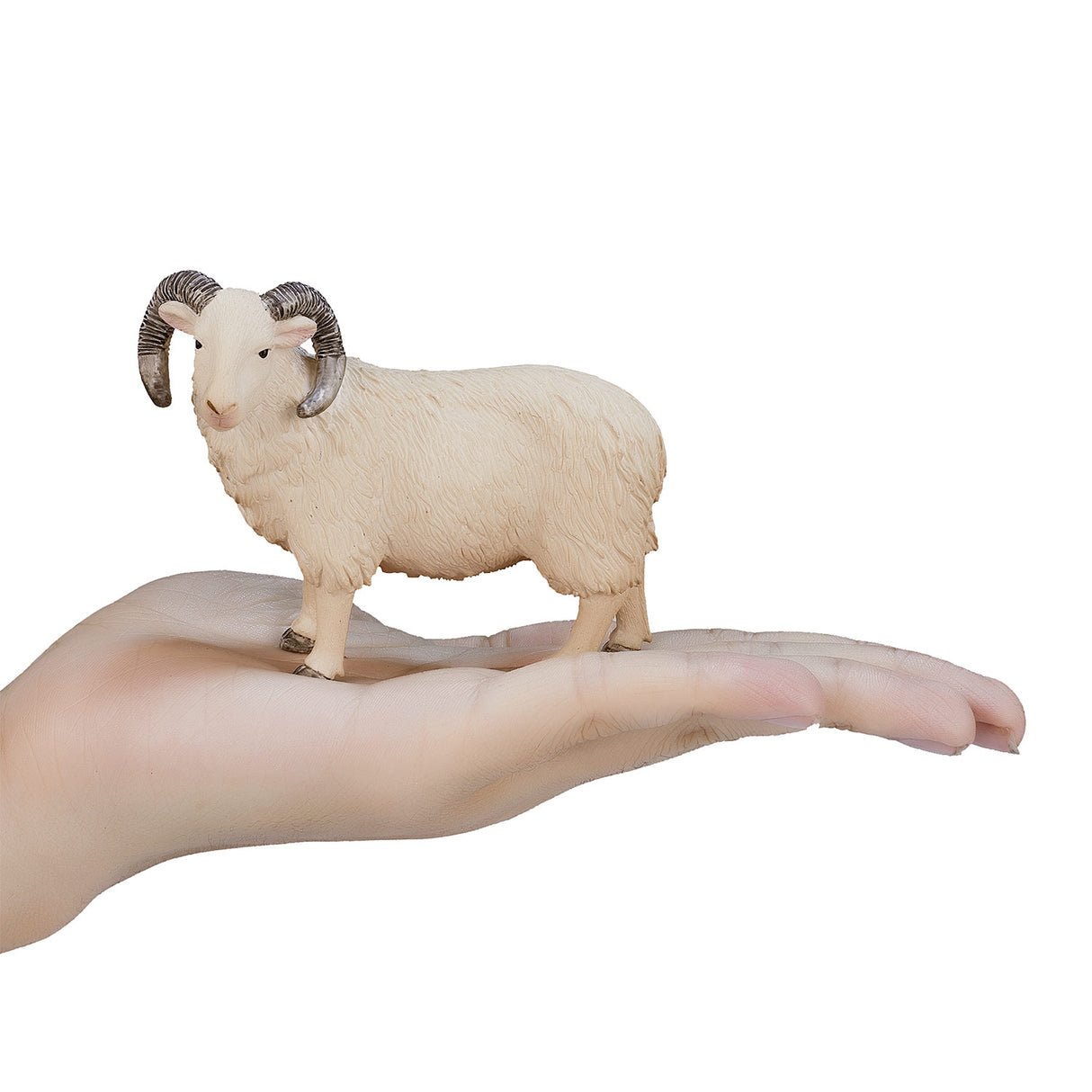 Mojo Akerland Scapap Ram 387097