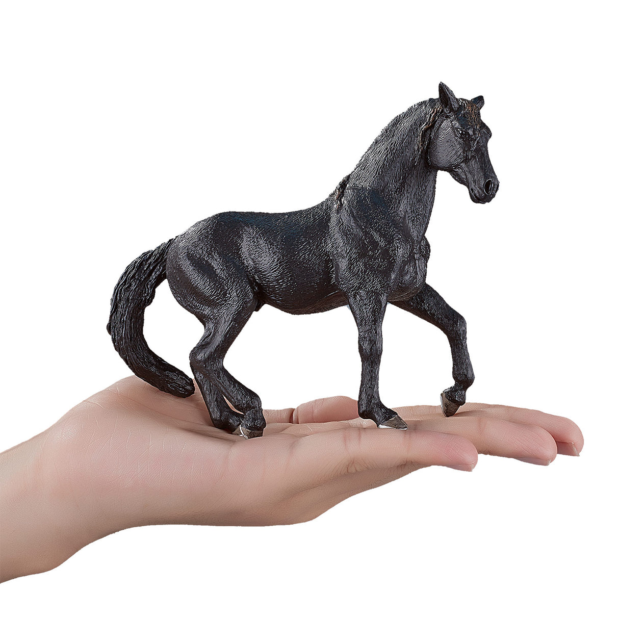 Mojo Horse World Andalusian stallion Black 387109