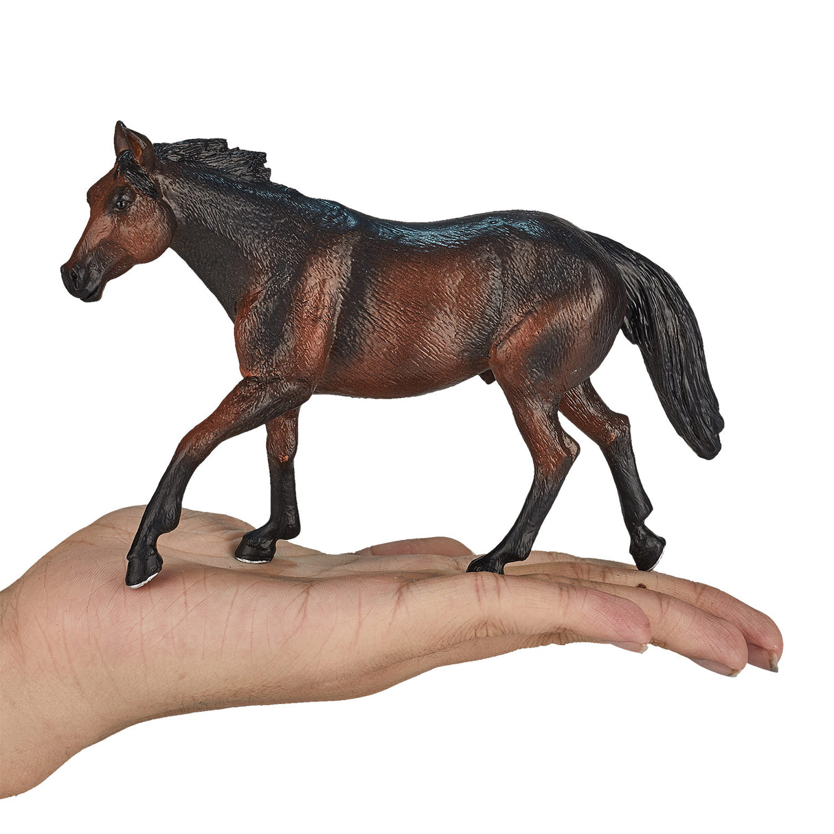 Mojo konj World Quarter Horse Donkerbruin 387151