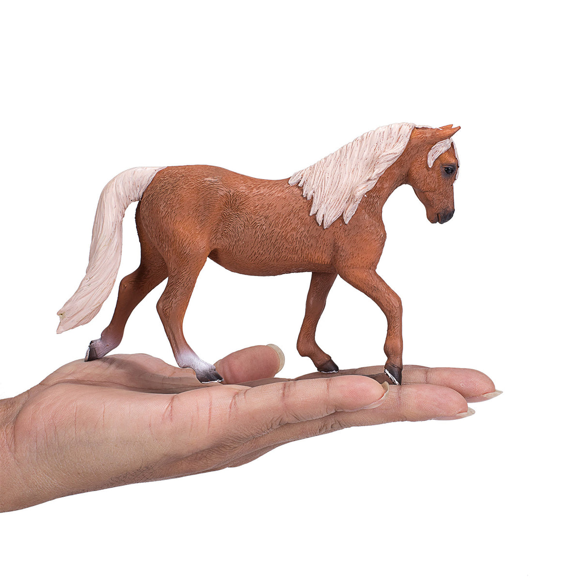 Mojo konj World Morgan Hengst Palomino 387395