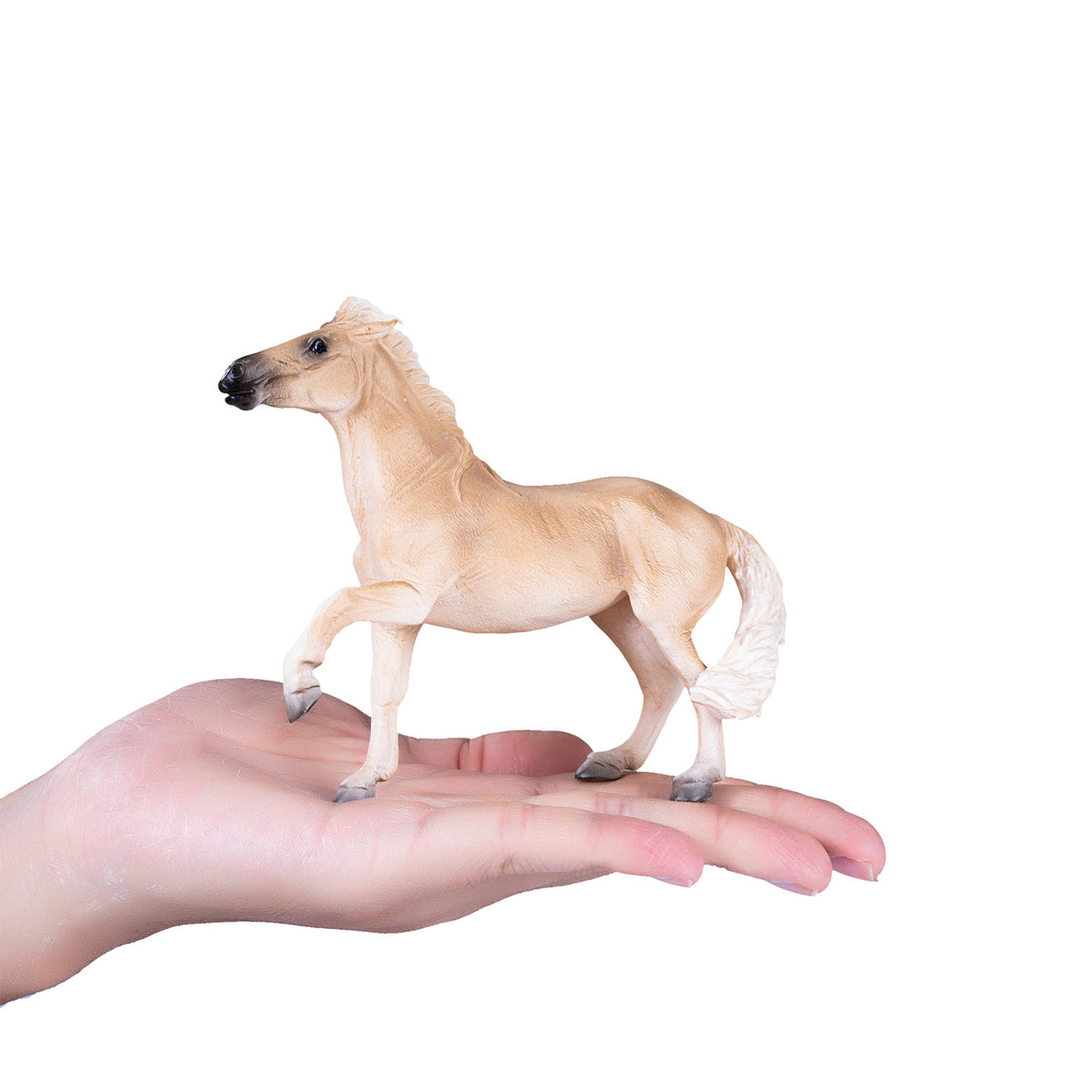 Mojo Horse World Brumby Mare 381059