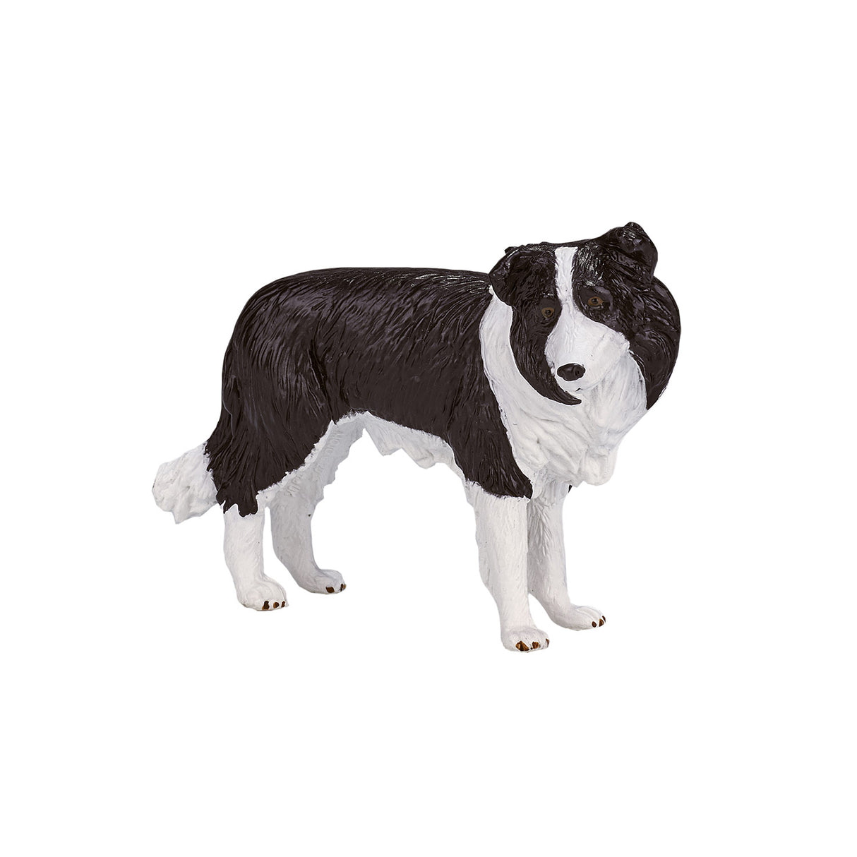Mojo Ackerland Border Collie 387203