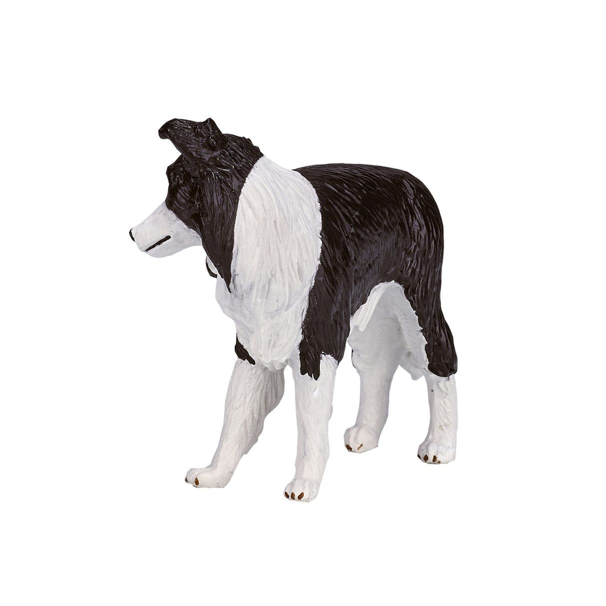 Mojo Ackerland Border Collie 387203