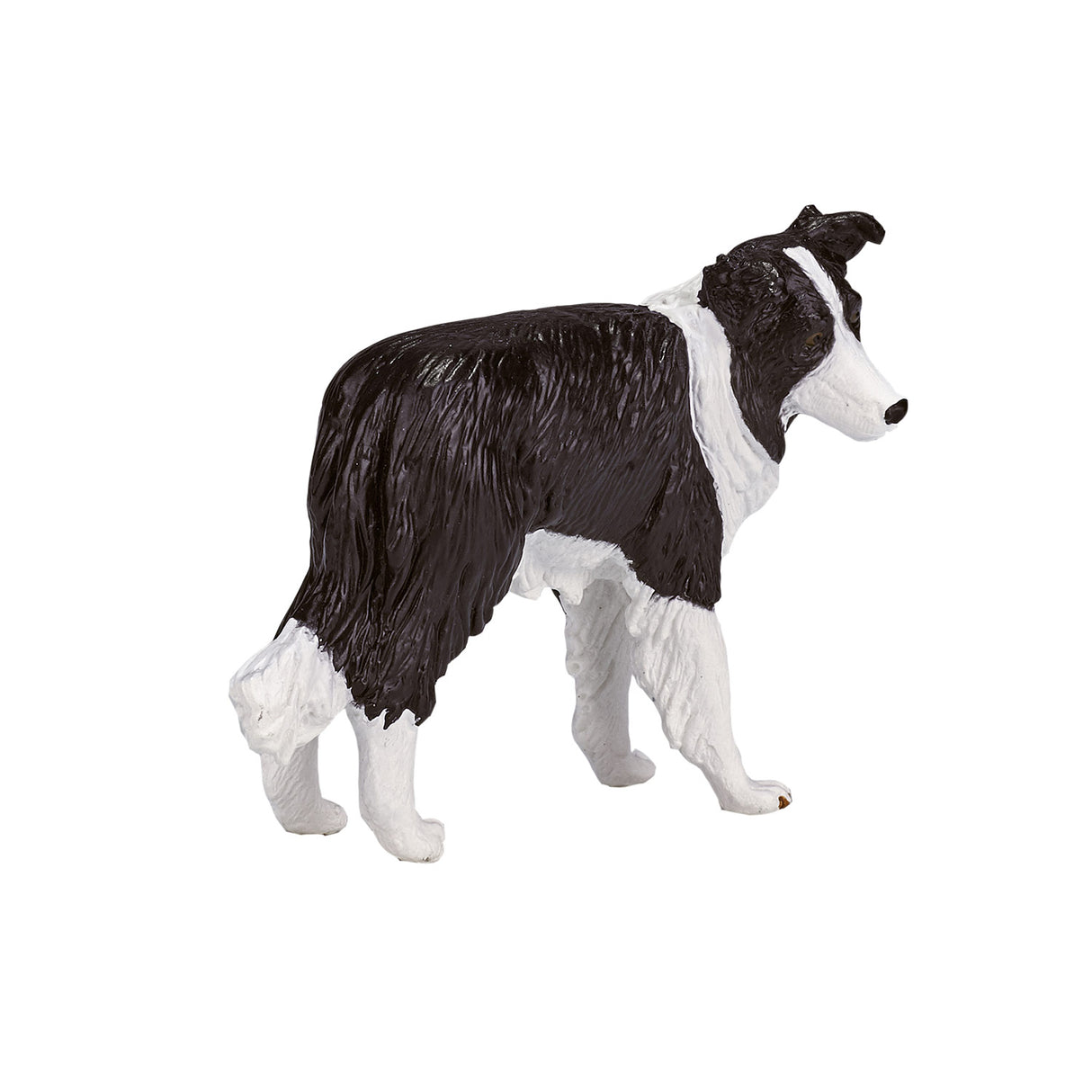 Mojo Ackerland Border Collie 387203