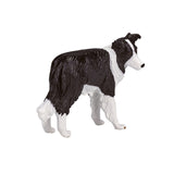 Mojo Ackerland Border Collie 387203