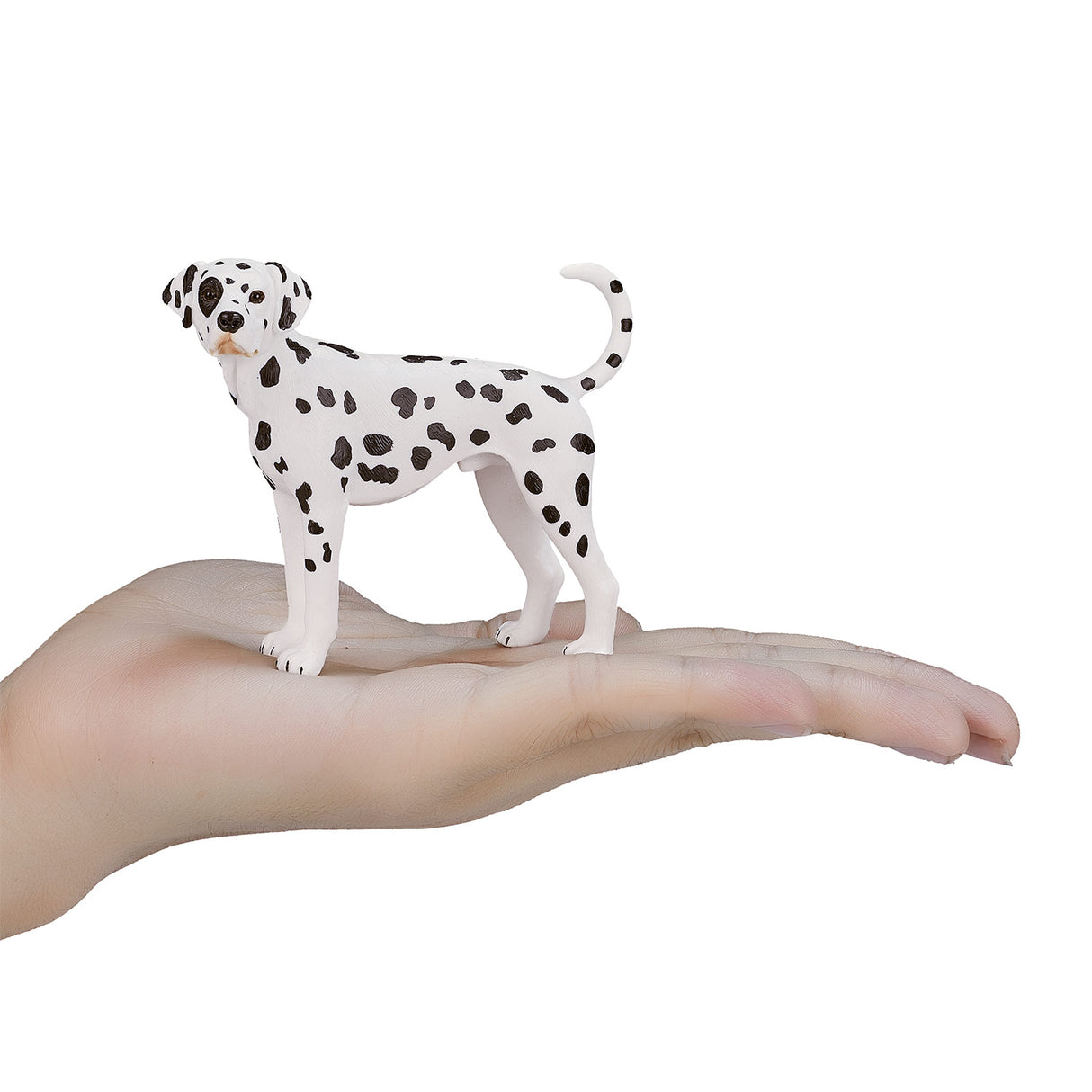 Mojo Farmland Dalmatian 387248