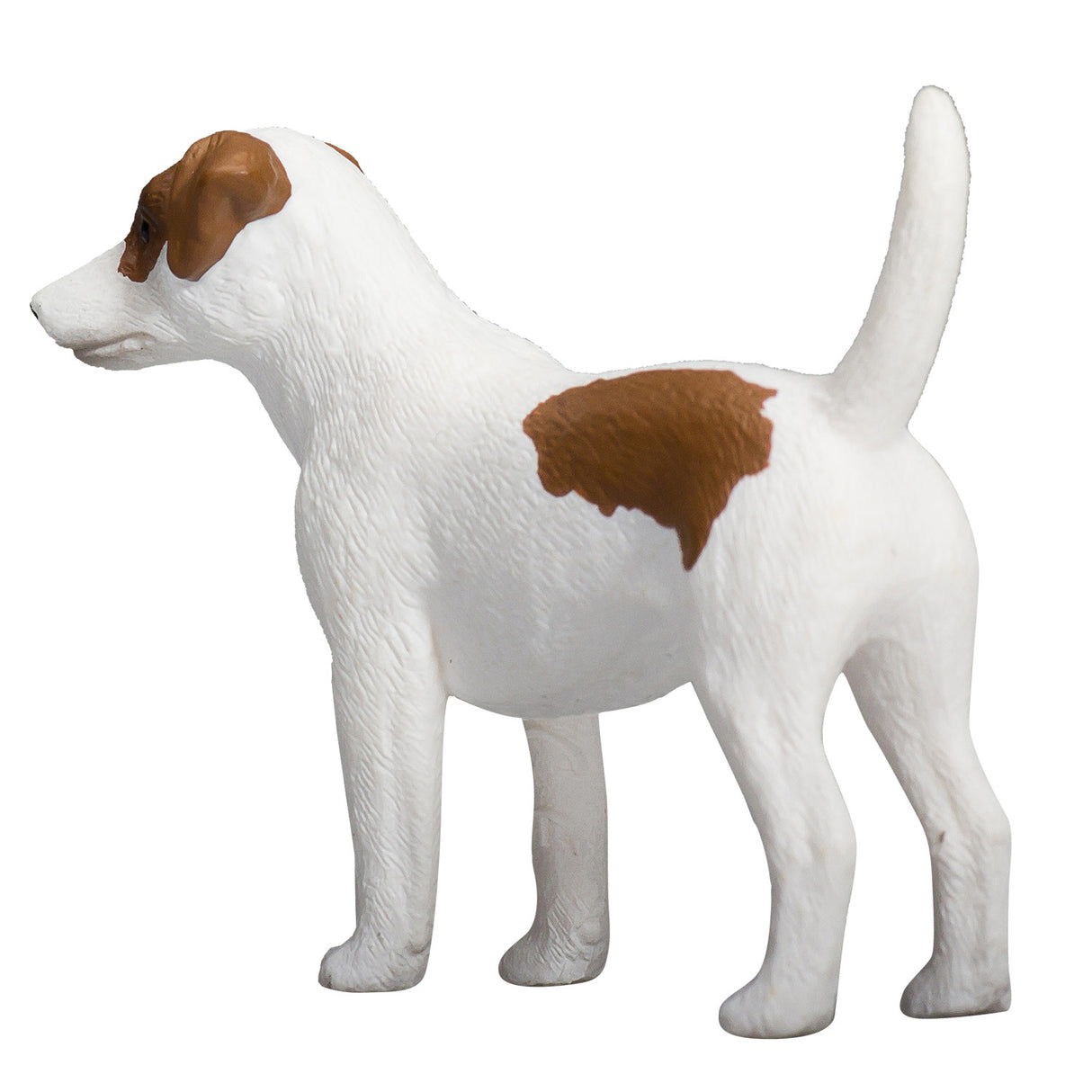 Mojo terres agricoles jack russell terrier - 387286