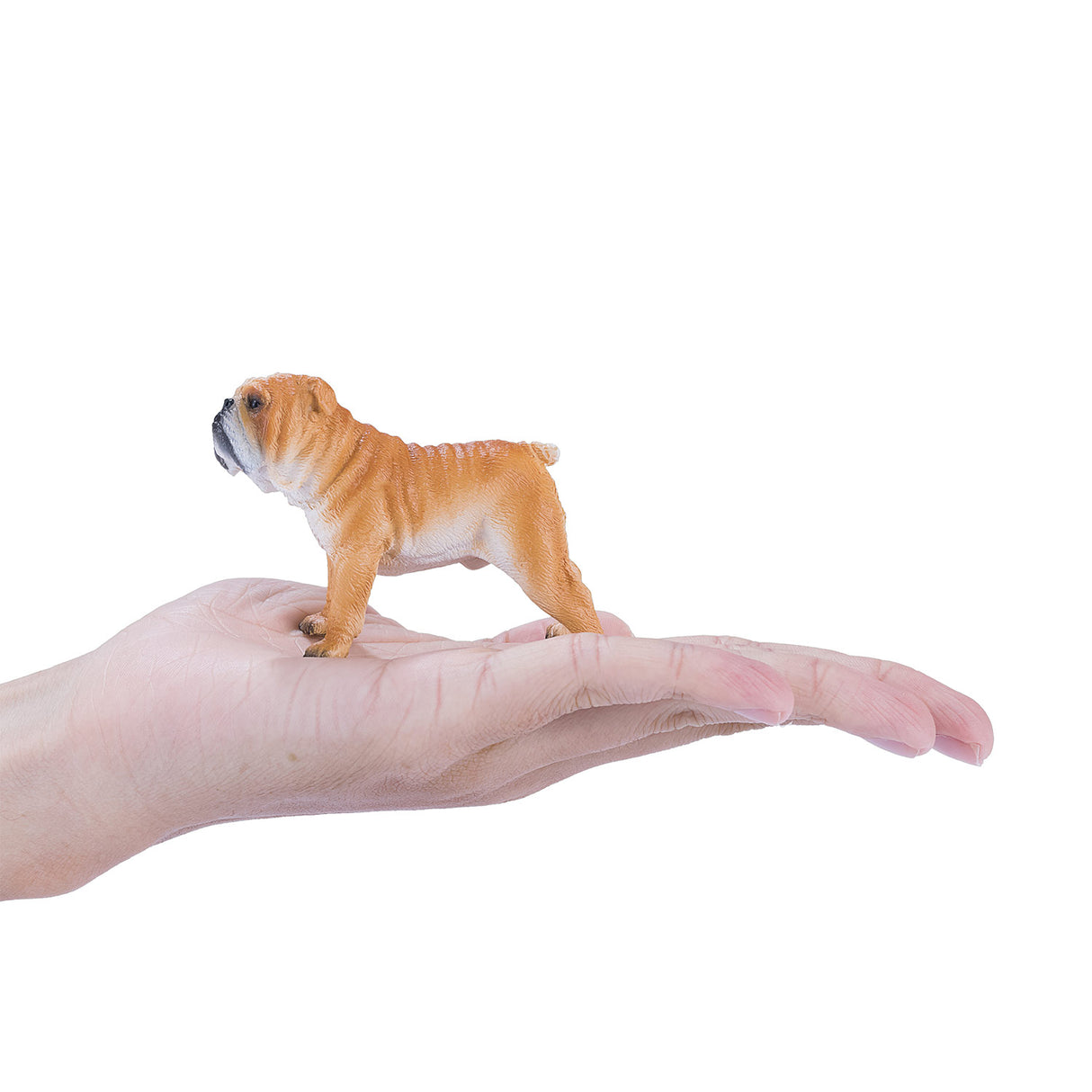 Mojo Bauereland Englesch Bulldog 381053