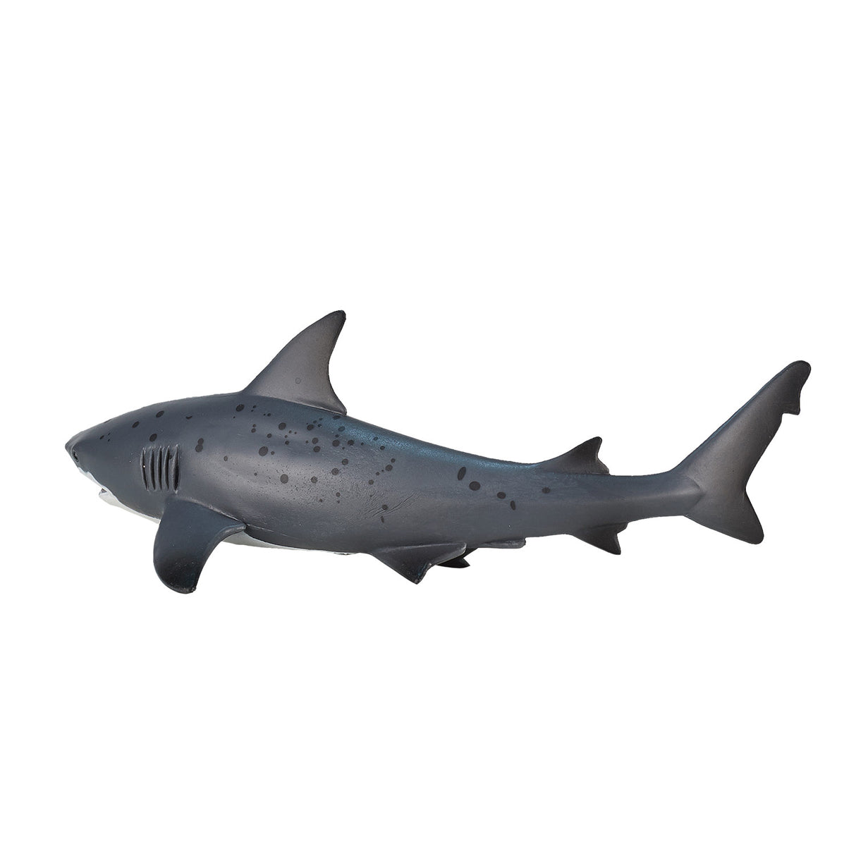 Mojo Sealife Bull Shaai 387270