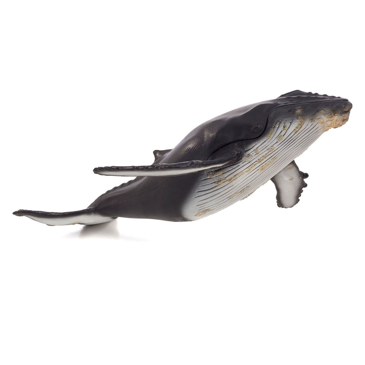 Mojo Sealufe Bultrugwalvis veliki 387277