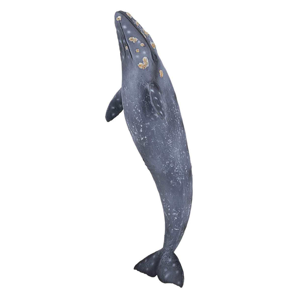 MOJO SEALIFE GREE BALE 387280